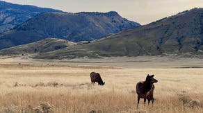 Montana's extreme weather helps shape character of iconic Treasure State